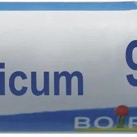 Boiron Kalium bichromicum 9 CH, granulki, 4 g