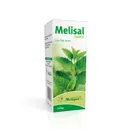 Melisal Forte 1,0g/10g, syrop, 125 g