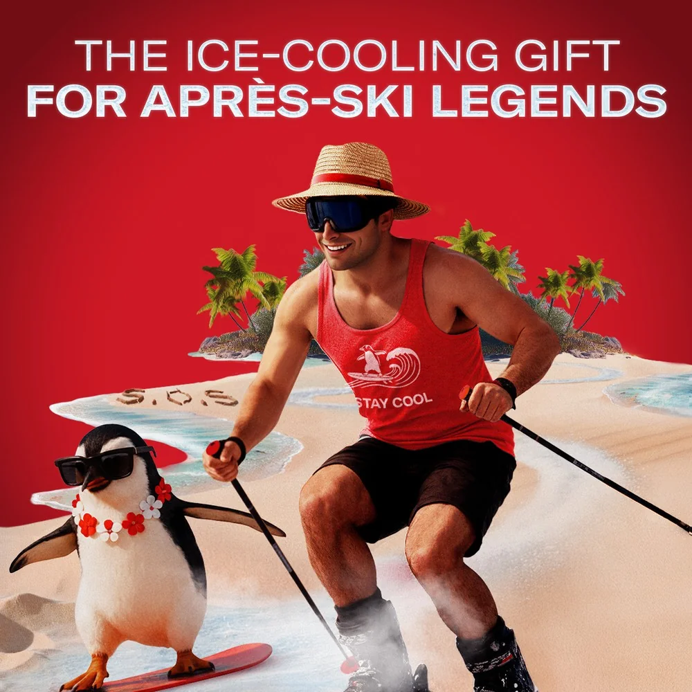Old Spice Ski Zestaw antyperspirant w sztyfcie, 50 ml + żel pod prysznic, 250 ml