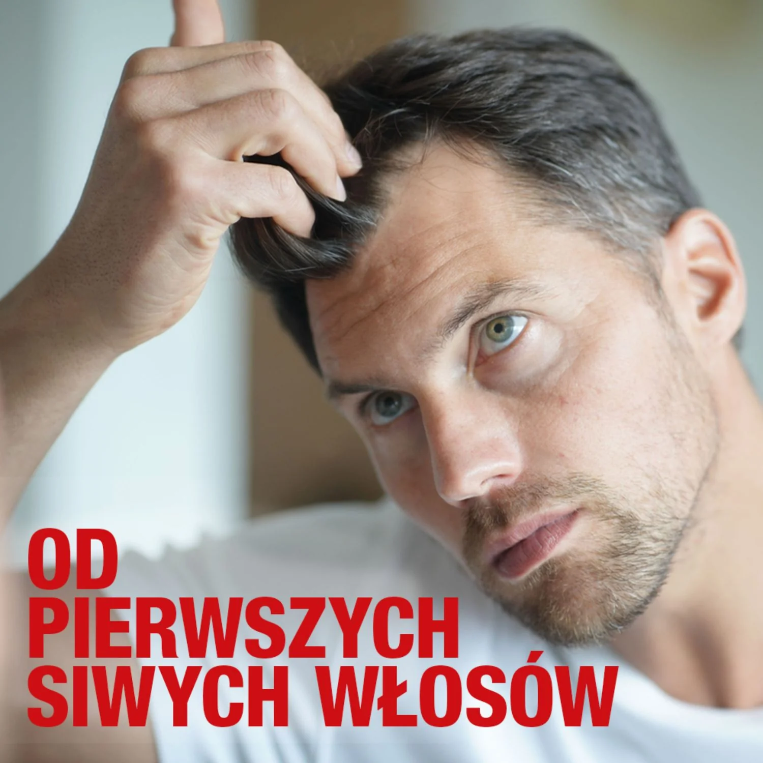 Alpecin Grey Attack szampon przeciw siwym włosom, 200 ml