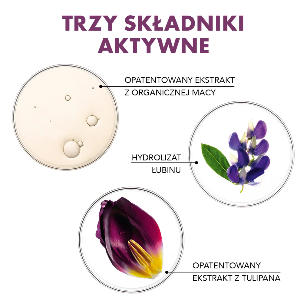 PHYTO PHYTOCYANE kuracja przeciw postępującemu wypadaniu włosów dla kobiet, 12 x 5 ml
