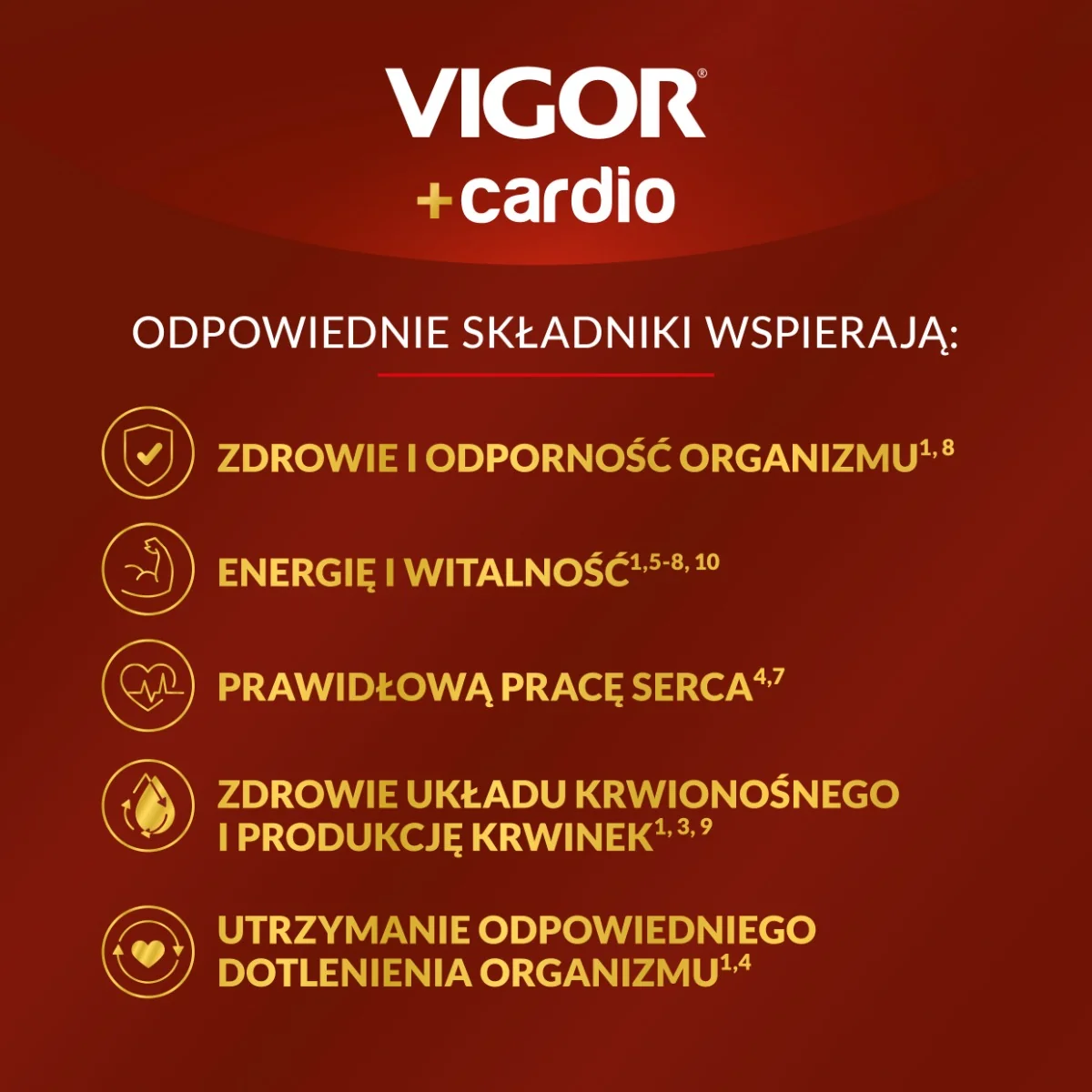 Vigor+ Cardio suplement diety, 1000 ml