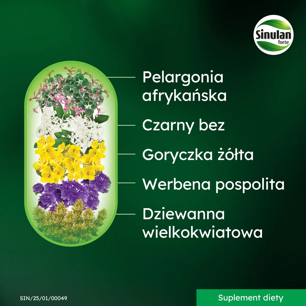 Sinulan Forte 30 tabletek