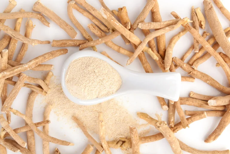 ashwagandha - na co działa? jak leczy? ashwagandha - na co działa? jak leczy?