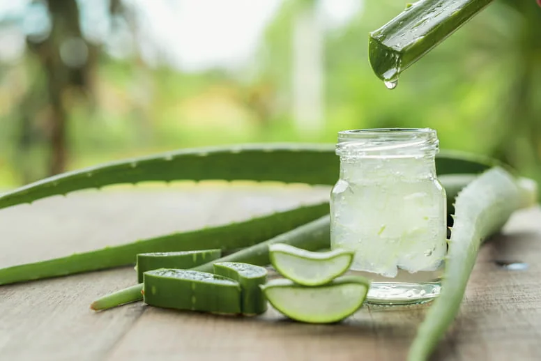 raw aloe Green Tea Aloe Soother Body Wash