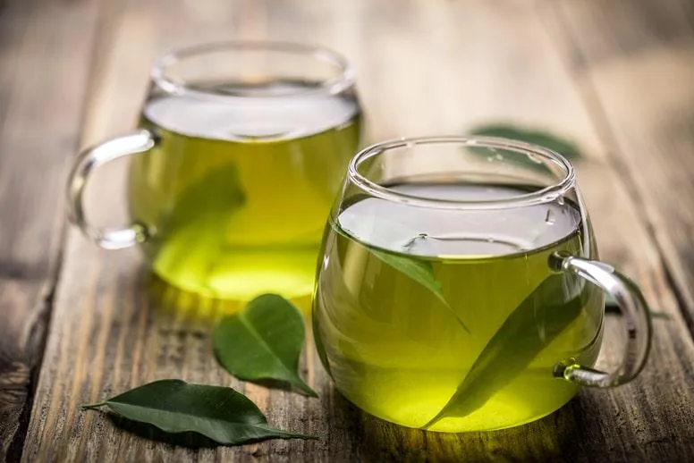 Zielona herbata – zastosowanie, działanie, właściwości