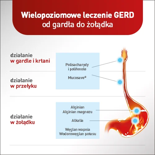 Mucoref Alugastrin® zawiesina doustna, 14 saszetek
