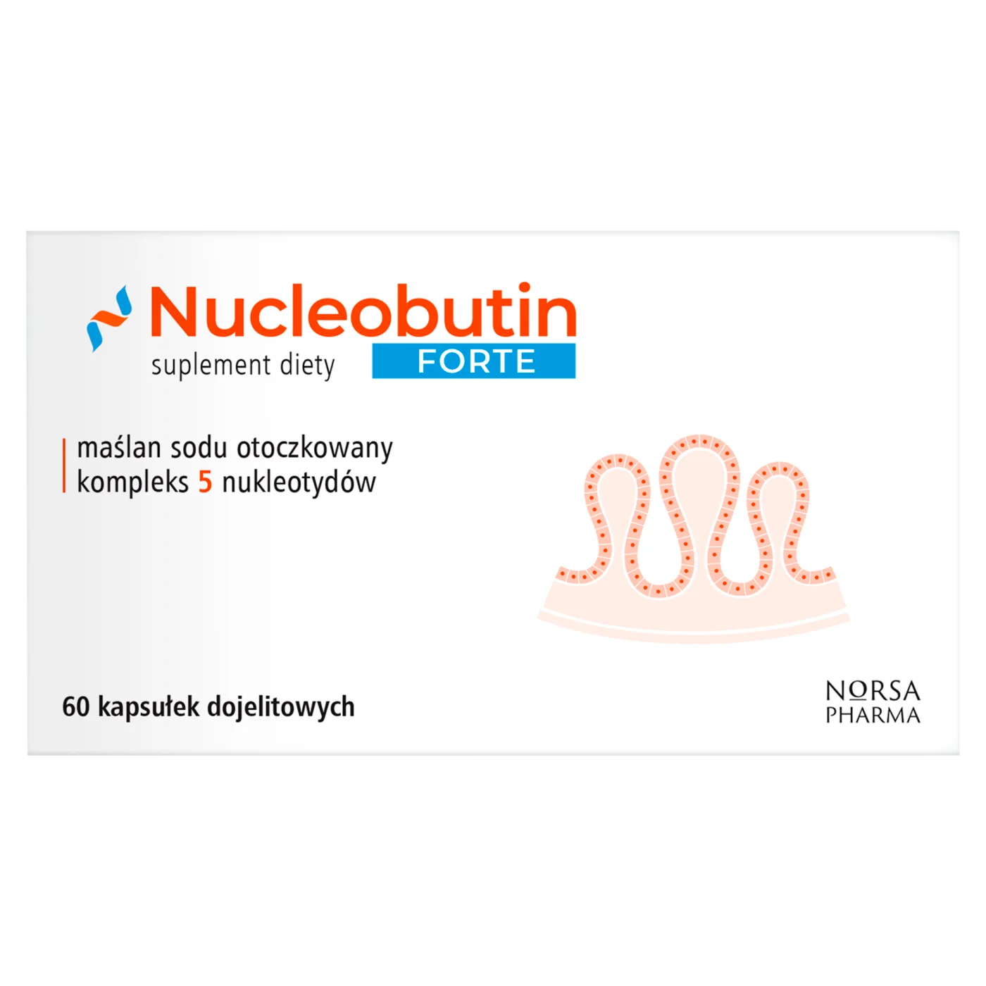 Norsa Pharma Nucleobutin Forte 60 kapsułek