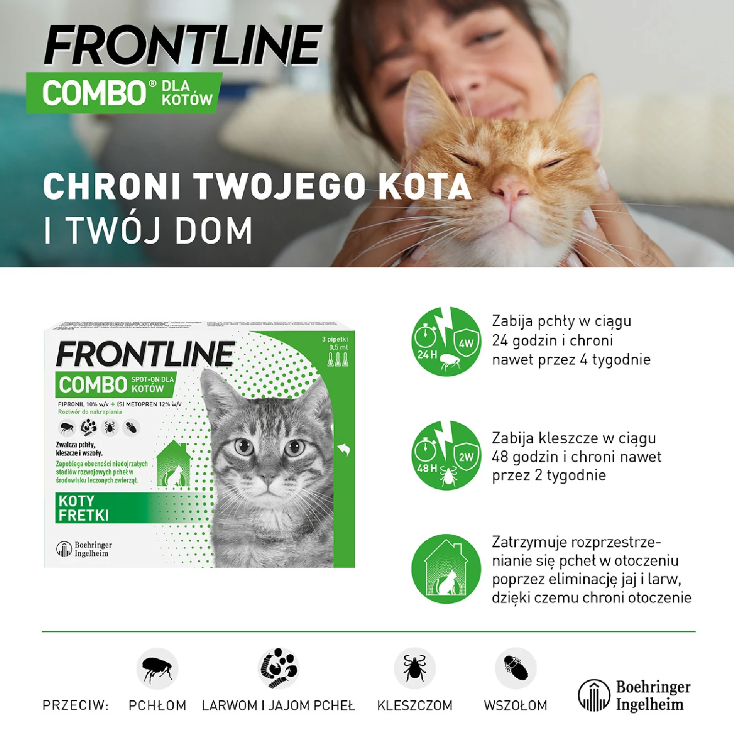 Frontline Combo (50 mg + 60 mg)/0,5 ml, roztwór do nakrapiania dla kotów, 3 x 0,5 ml