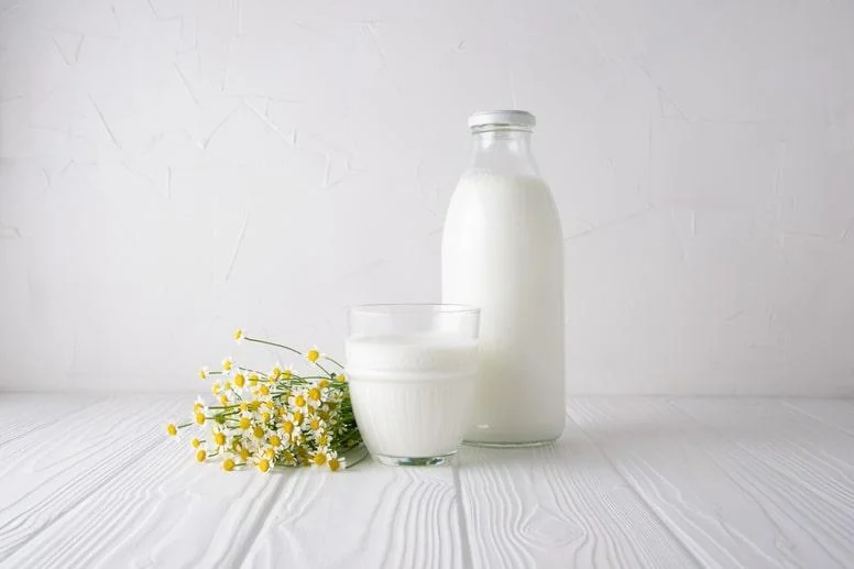 Naturalne probiotyki - czym są i gdzie występują?