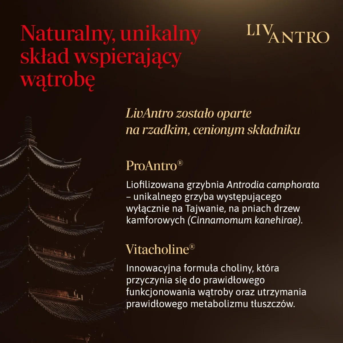 LivAntro 60 kapsułek