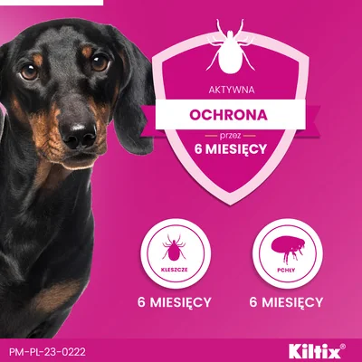 Kiltix 1,25 g + 0,28 g, obroża dla małych psów < 10 kg, 1 sztuka