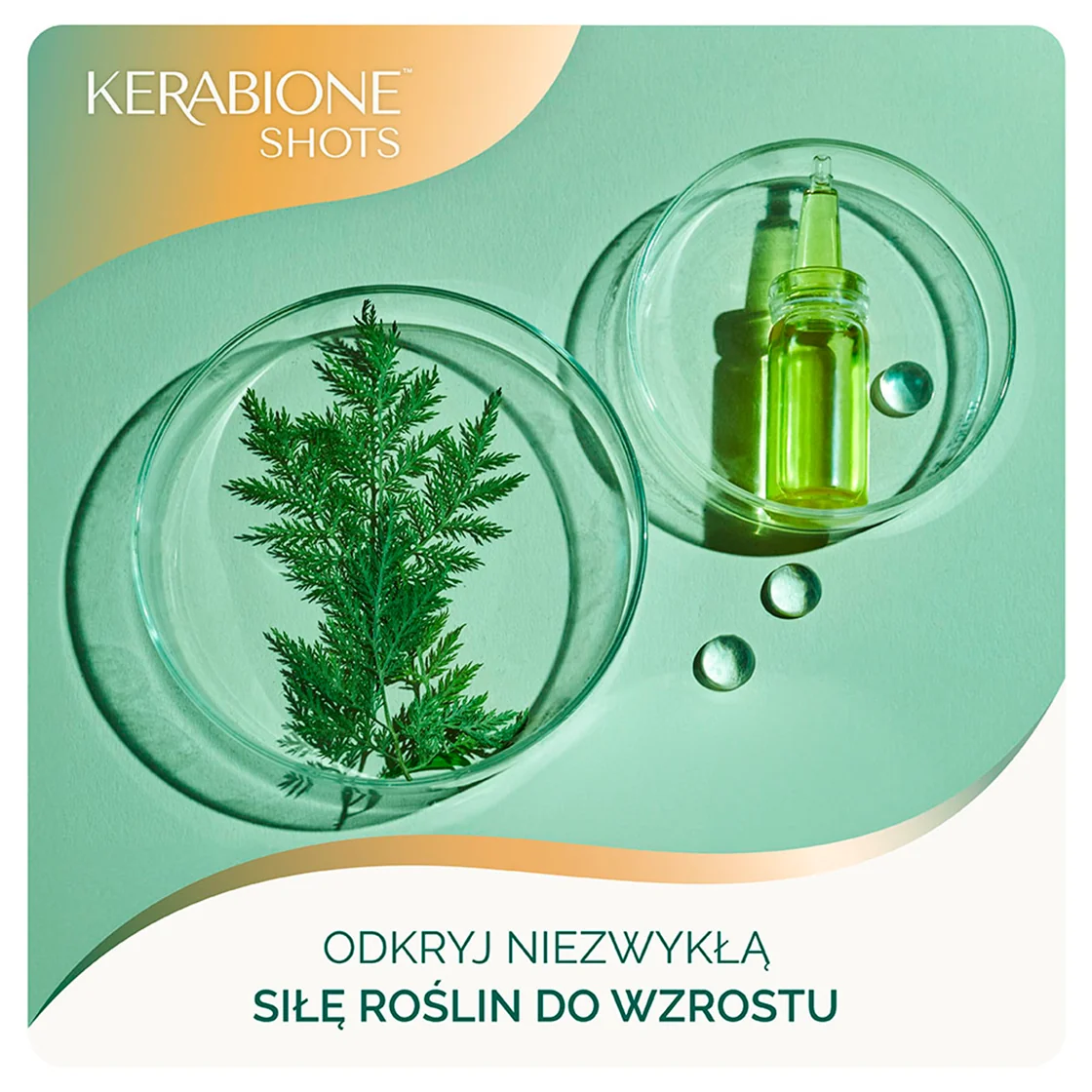 Kerabione Shots płyn doustny 14 fiolek x 25 ml
