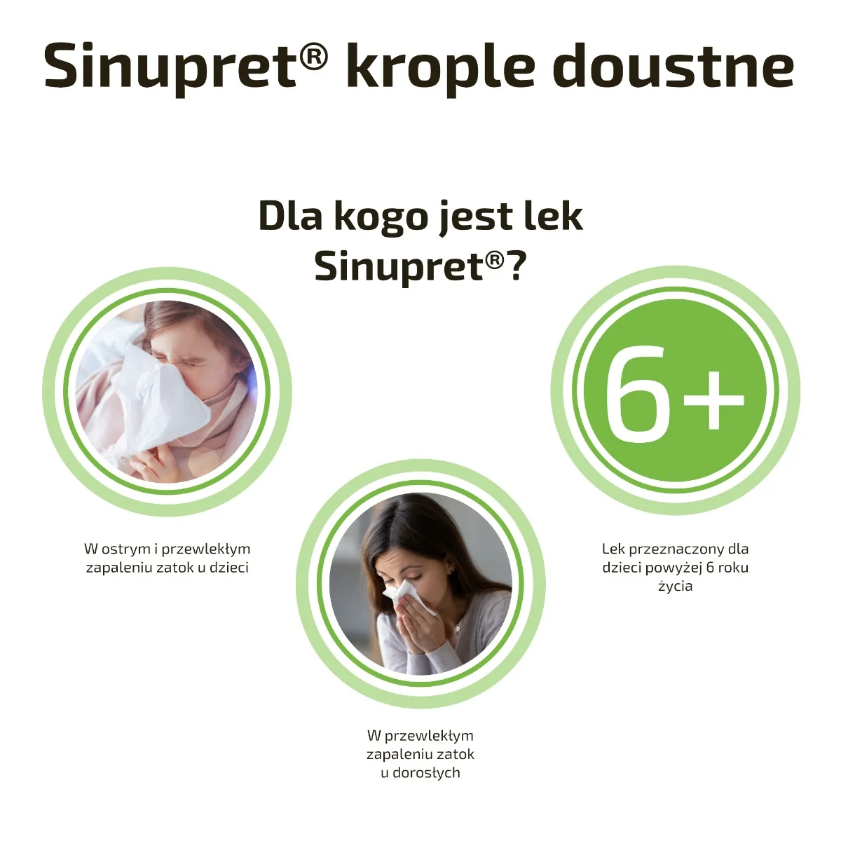 Sinupret krople doustne, 100 ml
