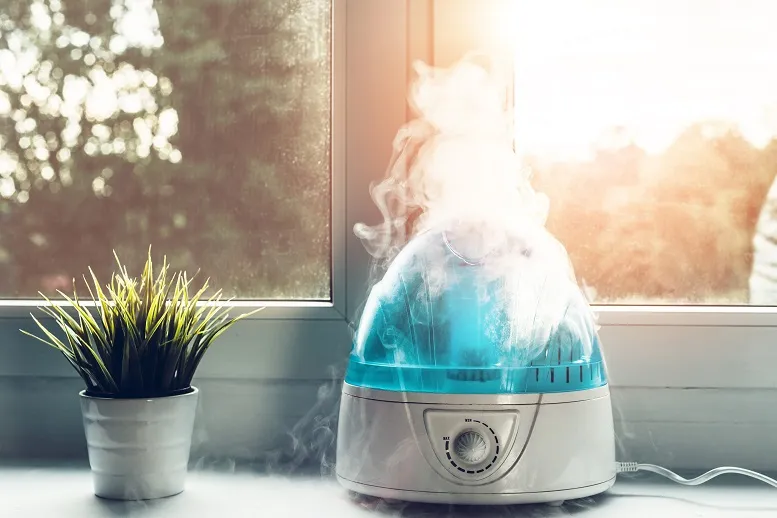 Jak nawilżyć powietrze w domu? Czyli alergik kontra suche powietrze