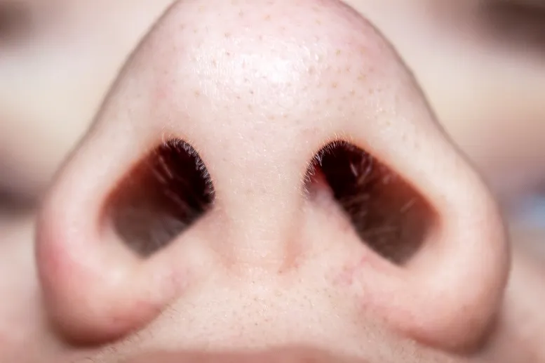Suchy nos – co może oznaczać ten objaw?