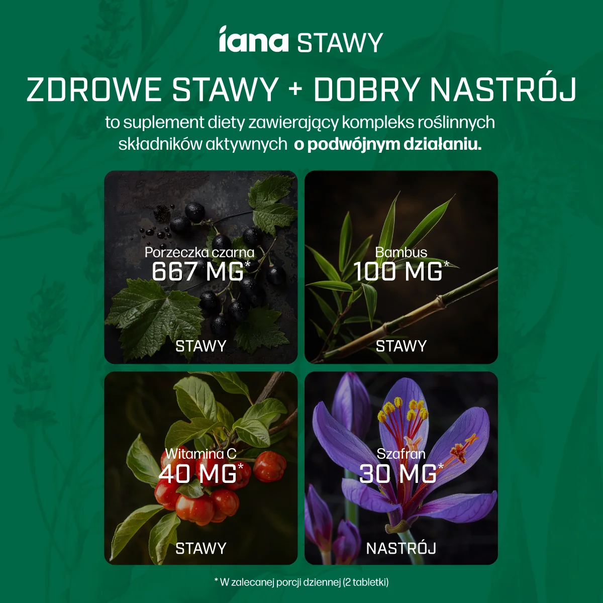 Iana Stawy Zdrowe Stawy + Dobry Nastrój. 60 tabletek