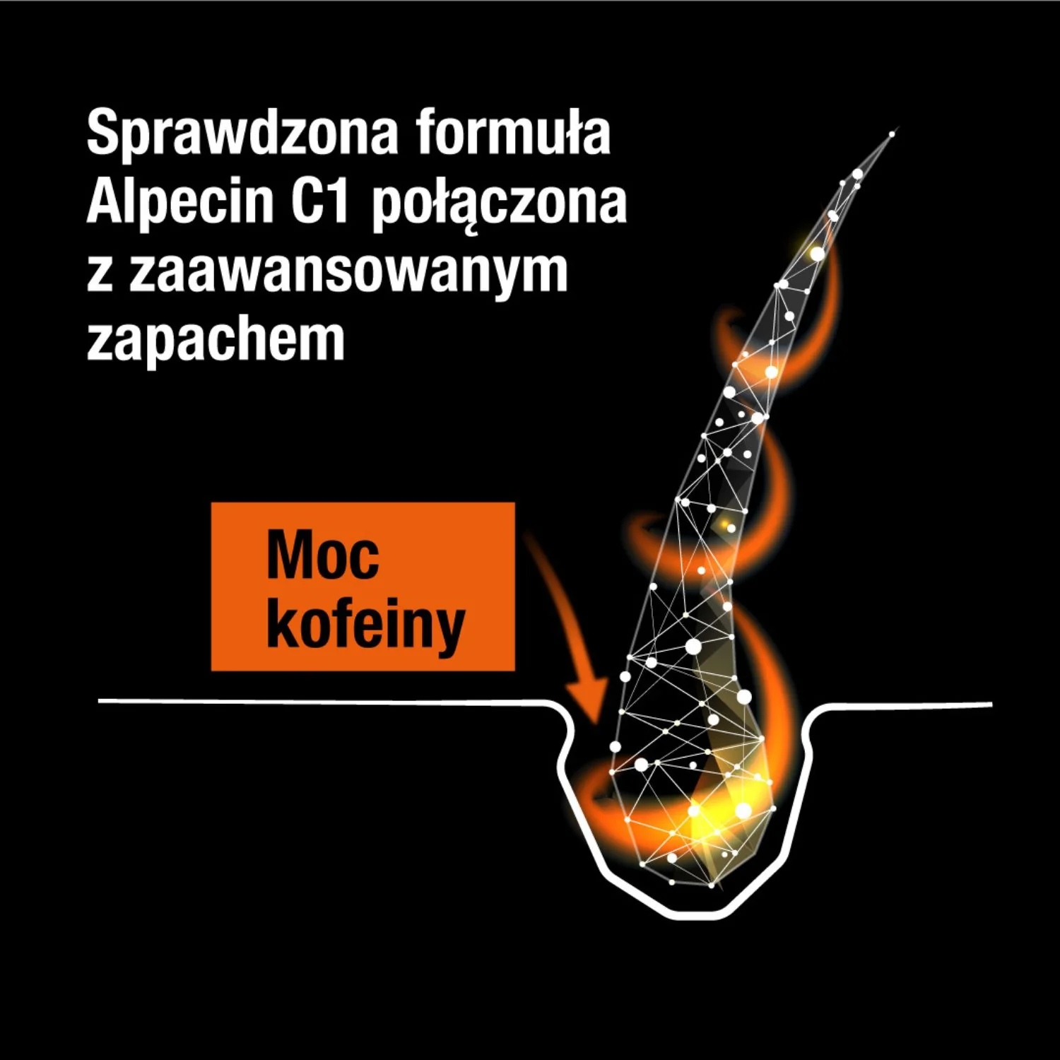 Alpecin Coffein Hair Booster serum dla mężczyzn, 200 ml