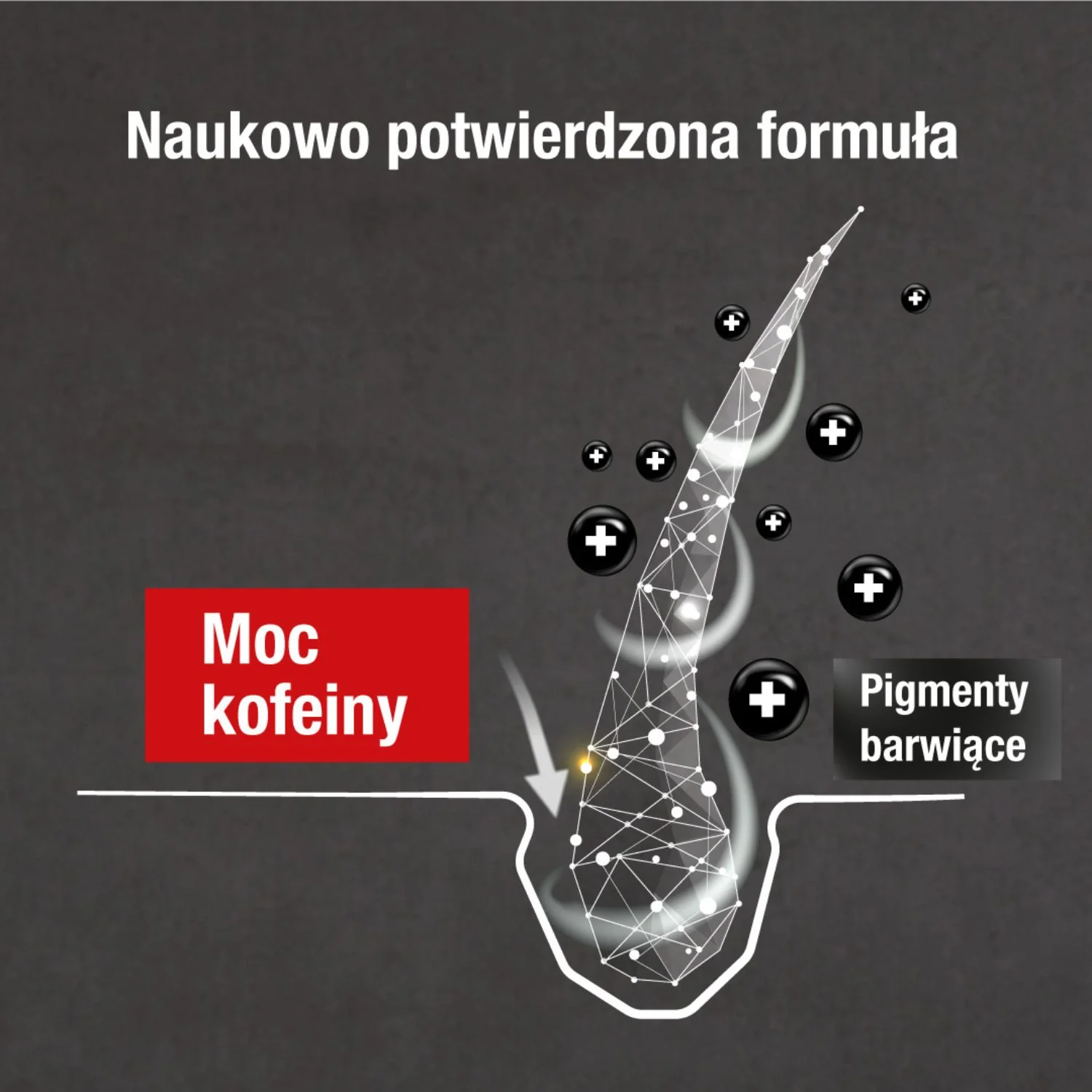 Alpecin Grey Attack szampon przeciw siwym włosom, 200 ml