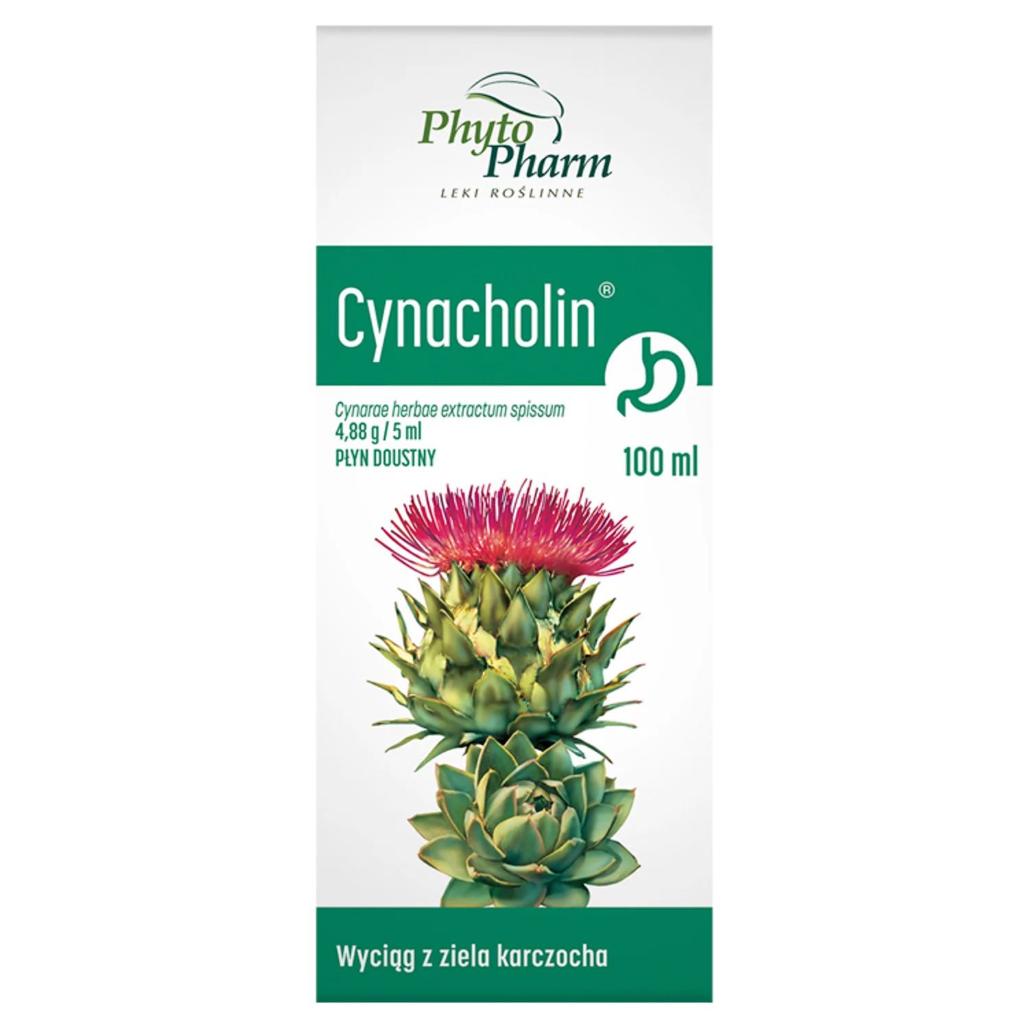 Cynacholin 4,88 g/5 ml, płyn doustny, 100 ml