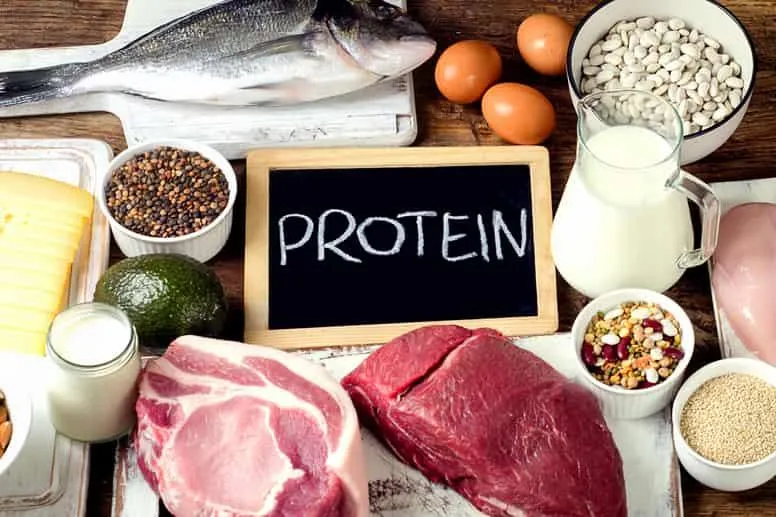 Białko w diecie – co to jest i jaką pełni rolę?