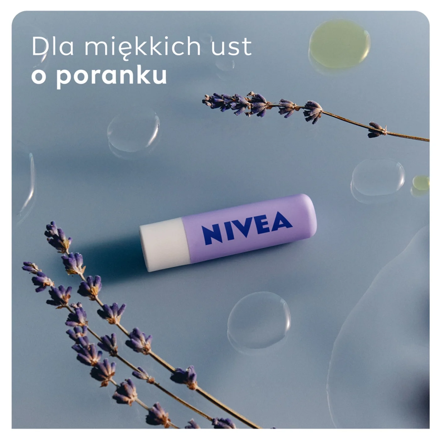 Nivea Overnight Care pielęgnująca pomadka do ust, 4,8 g
