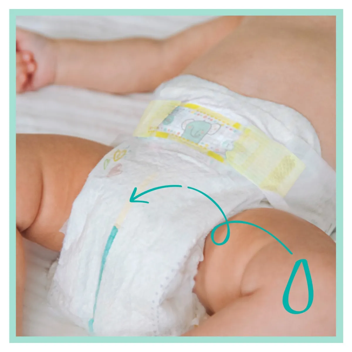 Pampers Premium Care, pieluchy, rozmiar 3, 6-10 kg, 80 sztuk 