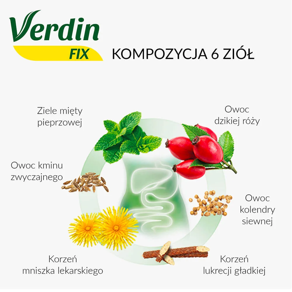 Verdin Fix 40 saszetek x 1,8 g