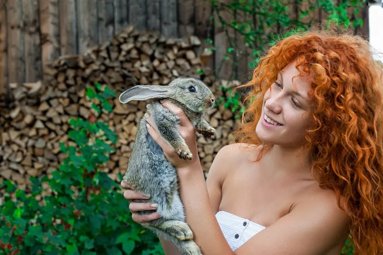 kobieta trzymająca królika