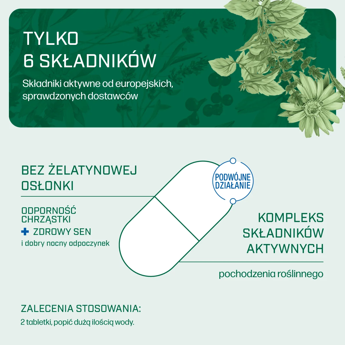 Iana Stawy Odporność Chrząstki + Zdrowy Sen 60 tabletek