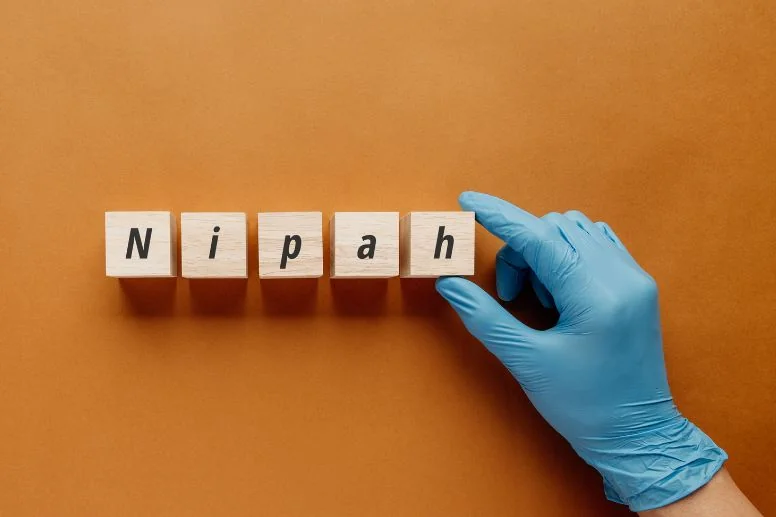Wirus Nipah stawia Azję w stan gotowości – co wiemy o zagrożeniu?