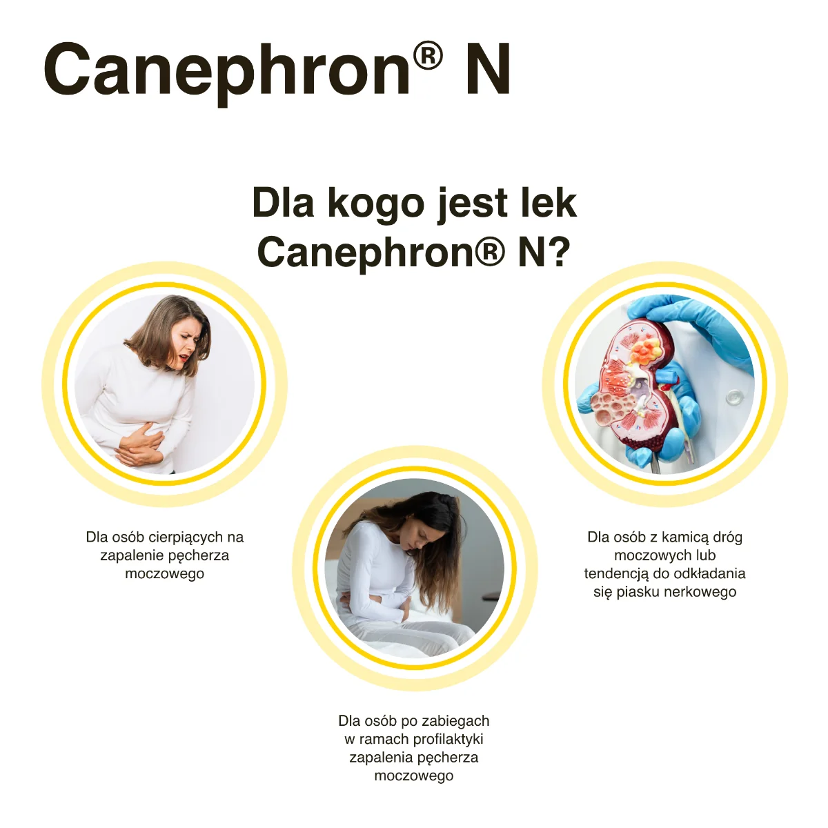 Canephron N krople doustne, 100 ml