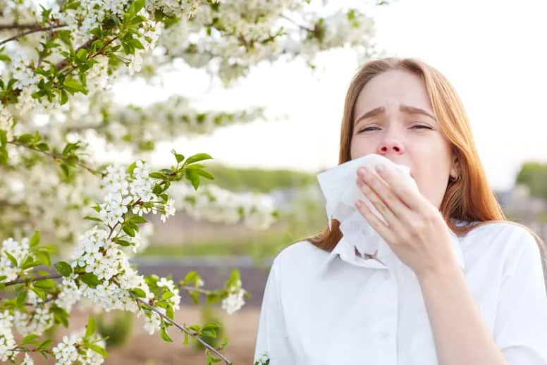Majowe alergie