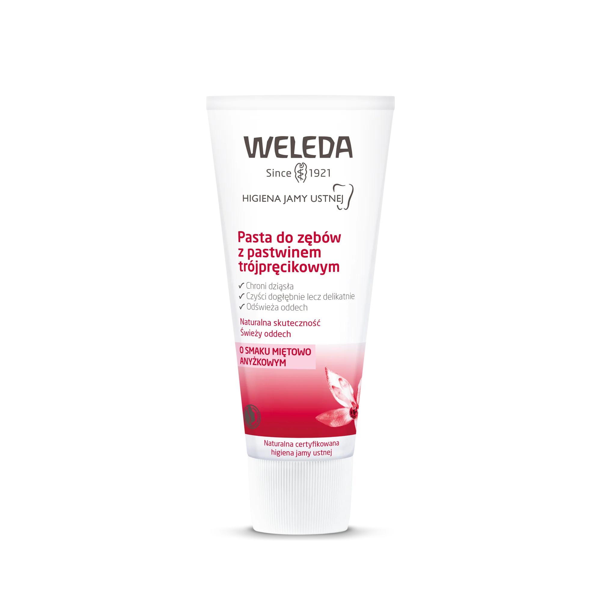 Weleda pasta do zębów z pastwinem trójpręcikowym, 75 ml