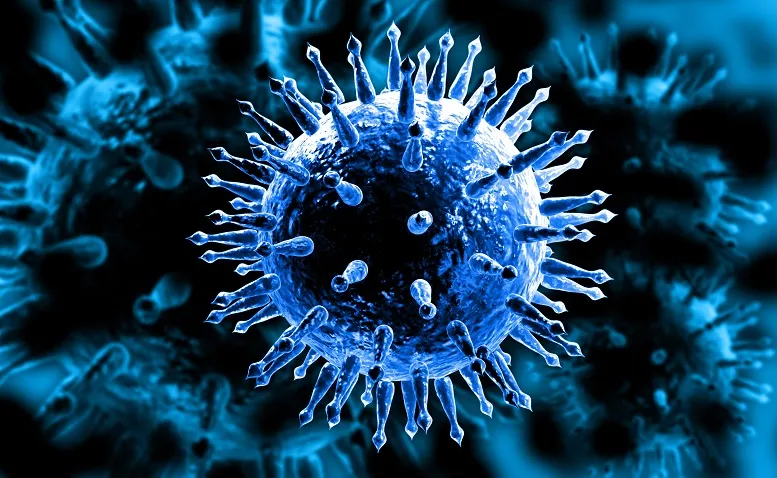 wirus świńskiej grypy pod mikroskopem