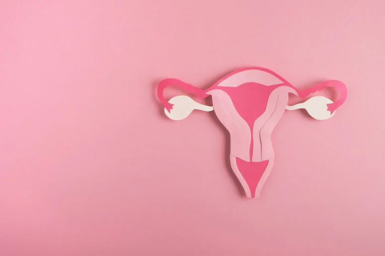 Przerost endometrium – co oznacza i kiedy jest groźny?