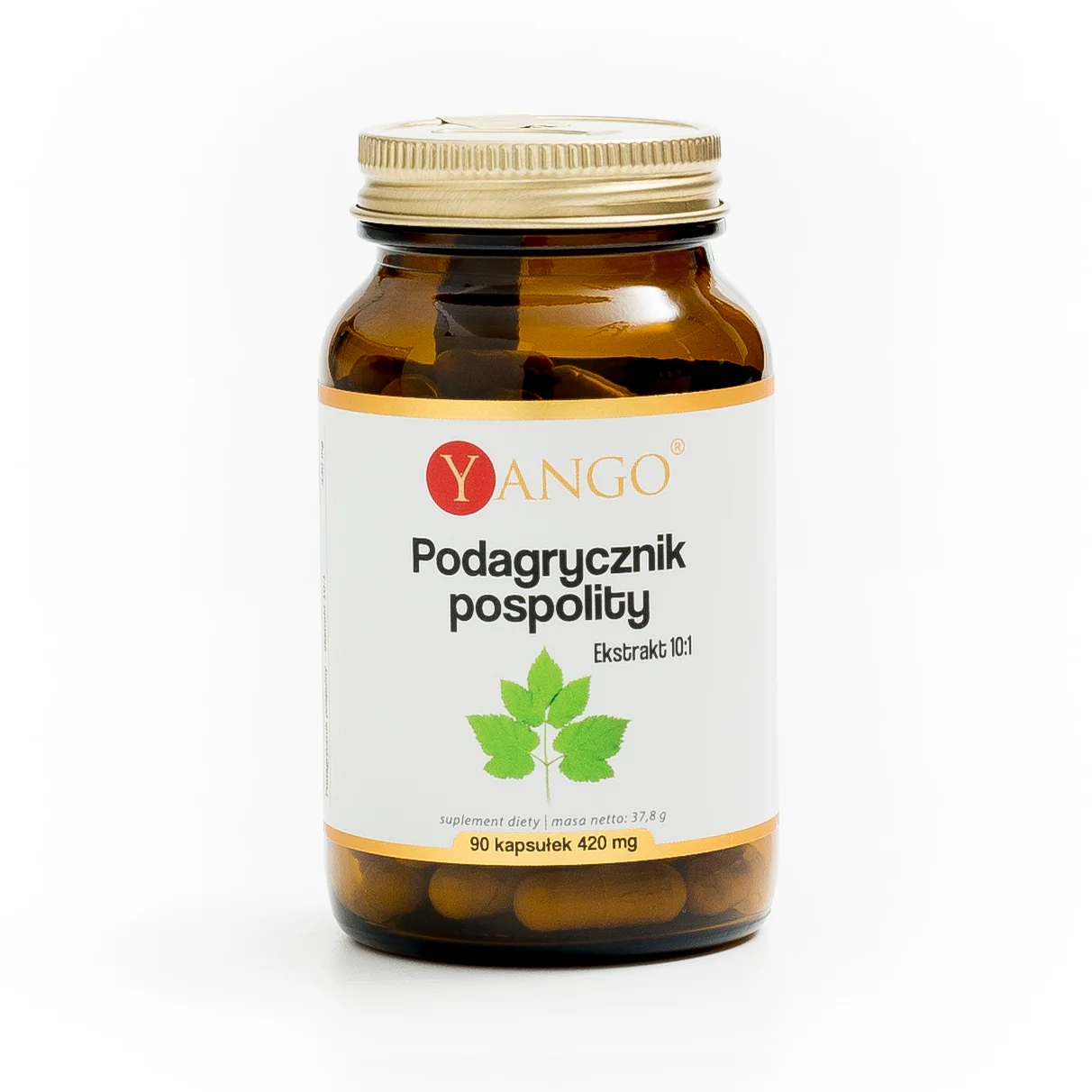 Yango Podagrycznik pospolity 90 kapsułek