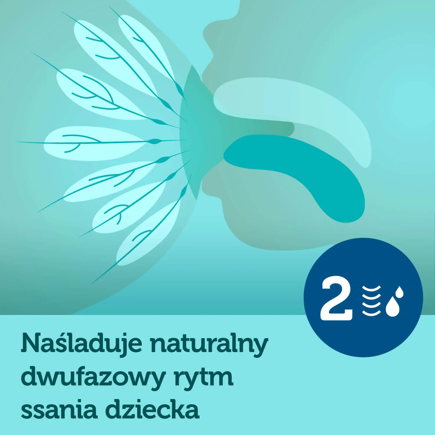 Canpol, laktator elektryczny Easy Natural 12/207 + wkładki laktacyjne 1/653, 30 szt+ butelka 35/216, 120 ml 