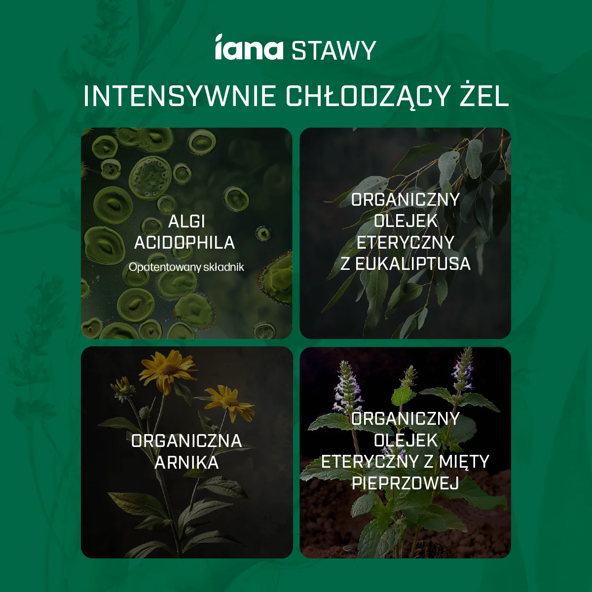 Iana Stawy intensywnie chłodzący żel, 100 ml