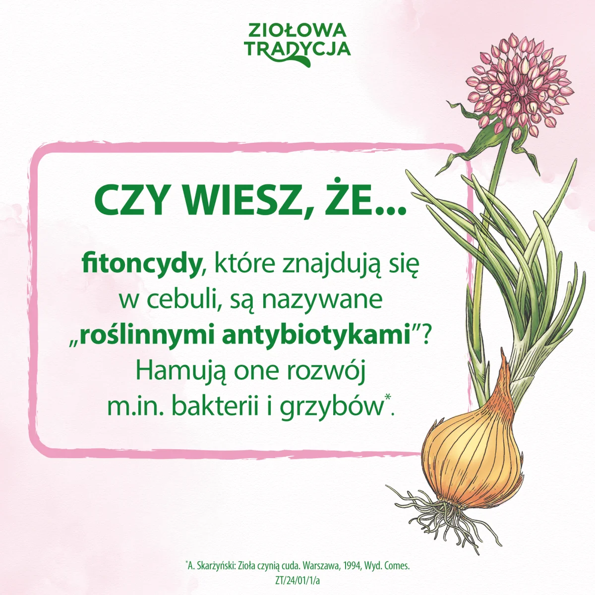 Ziołowa Tradycja Syrop z cebuli, 949 mg/5 ml, syrop, 125 g