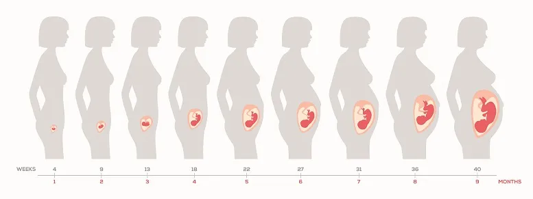 przebieg ciąży miesiąc po miesiącu