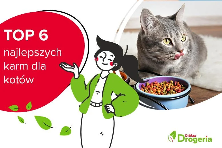 Najlepsze karmy dla kotów – ranking produktów