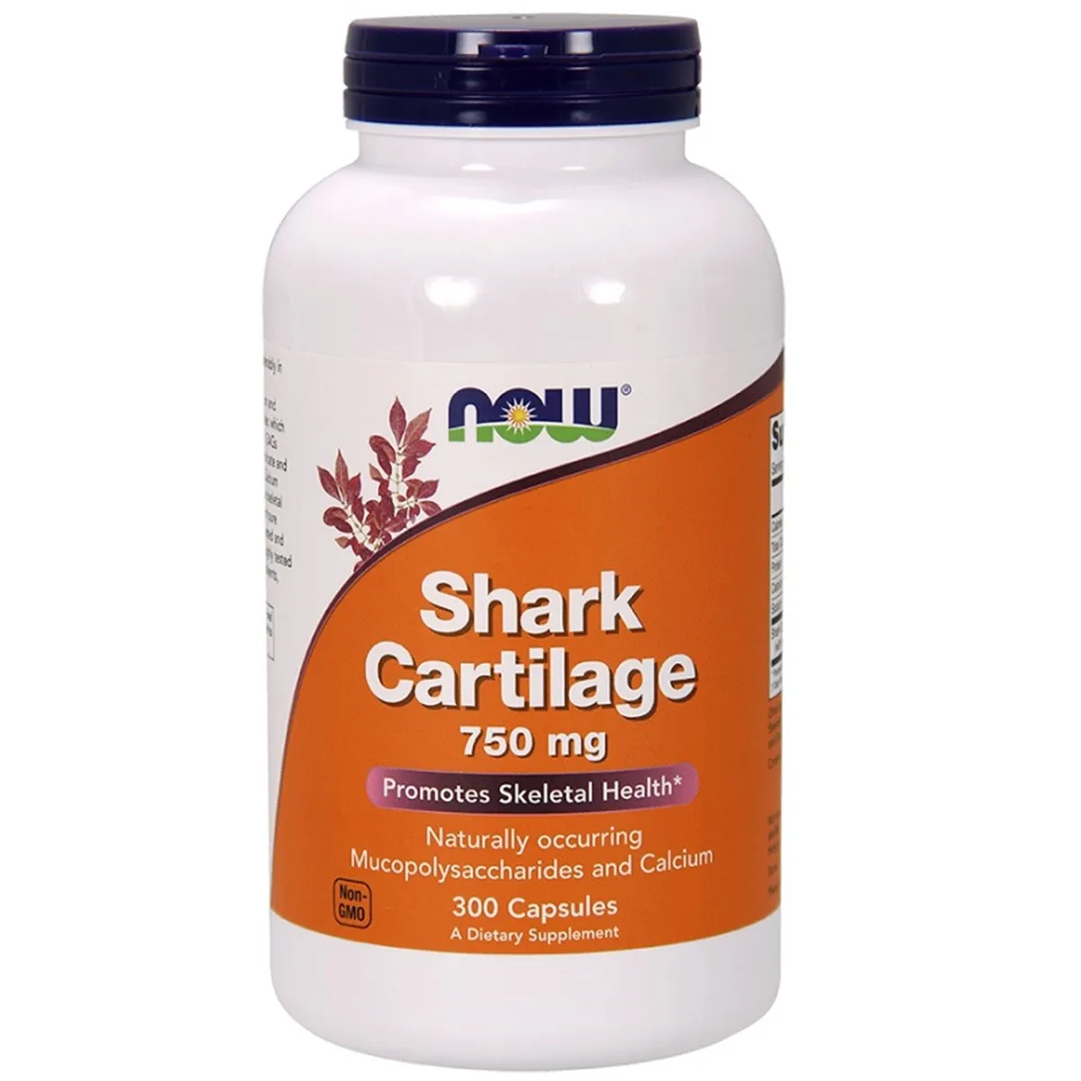 Now Foods Shark Cartilage suplement diety, 300 kapsułek