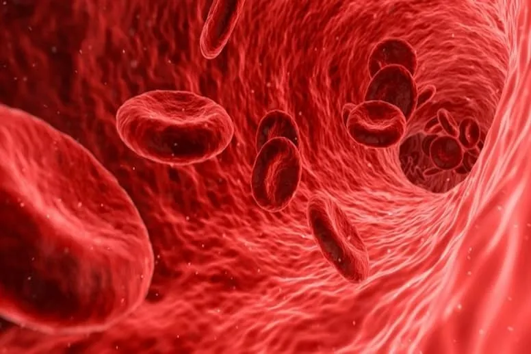 Niska hemoglobina objawy