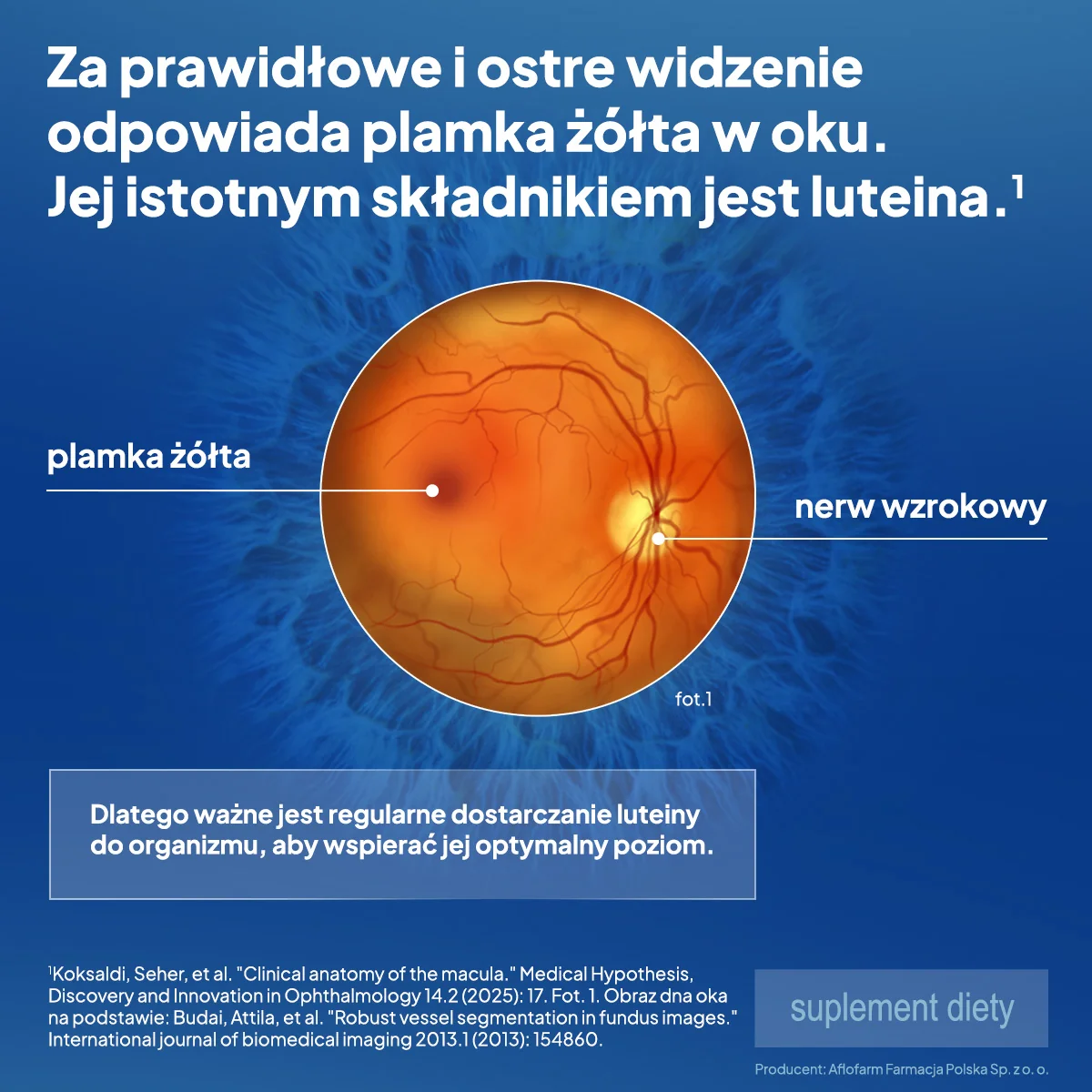 Maxiluten ginkgo+ suplement diety, 30 tabletek