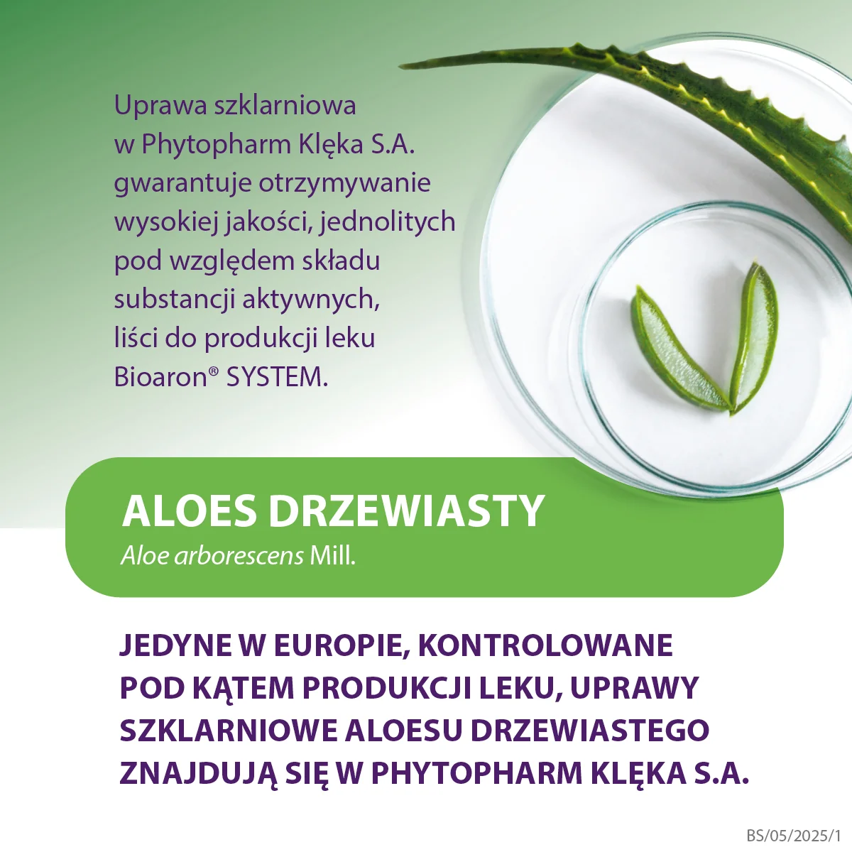 Bioaron System syrop, 100 ml