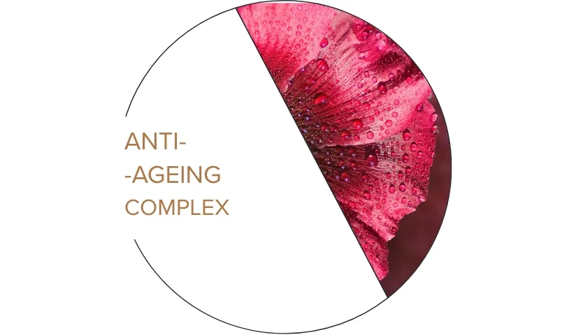 anti-aging complex nuance