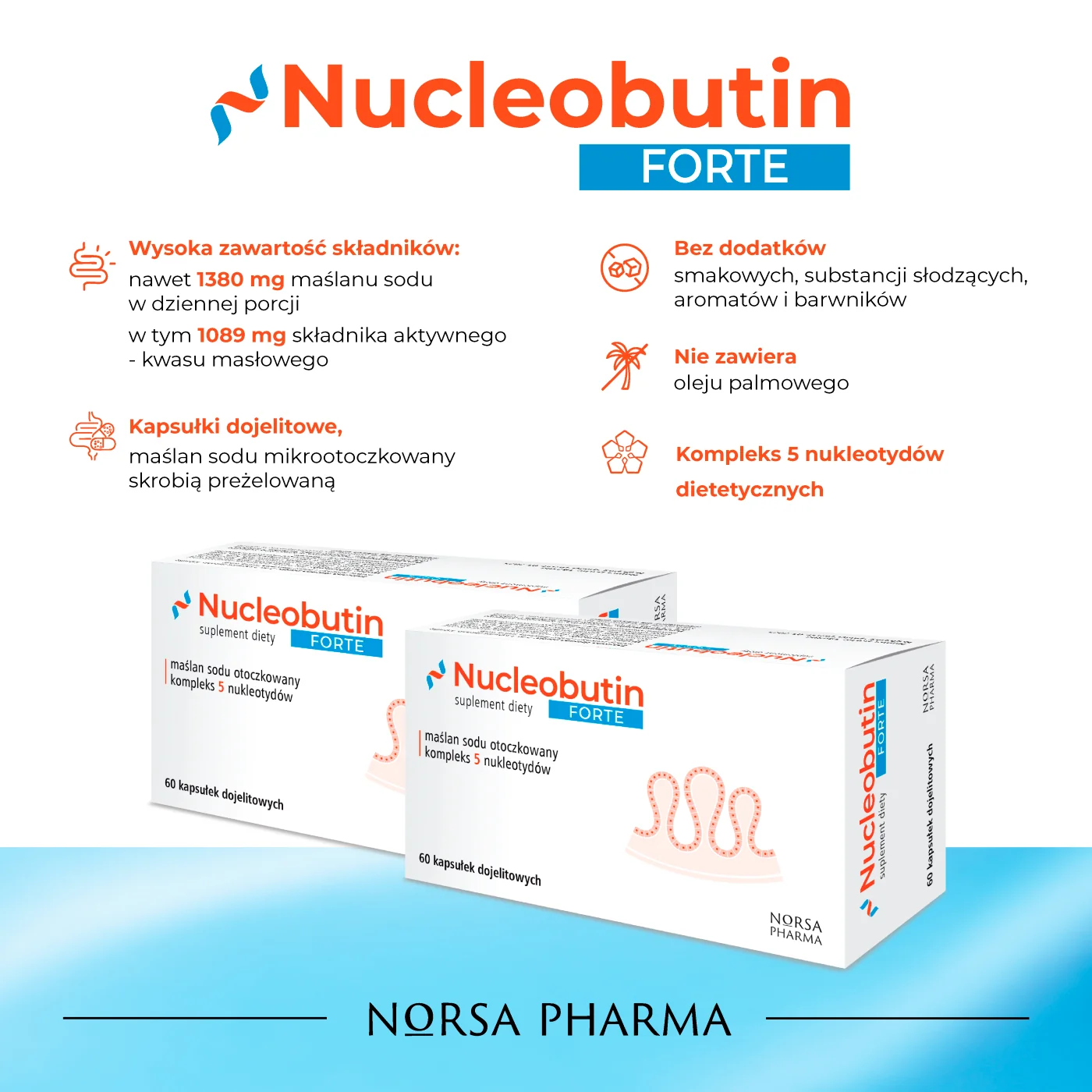 Norsa Pharma Nucleobutin Forte 60 kapsułek
