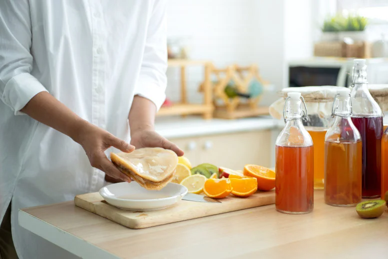 kombucha grzyb kombucha grzyb