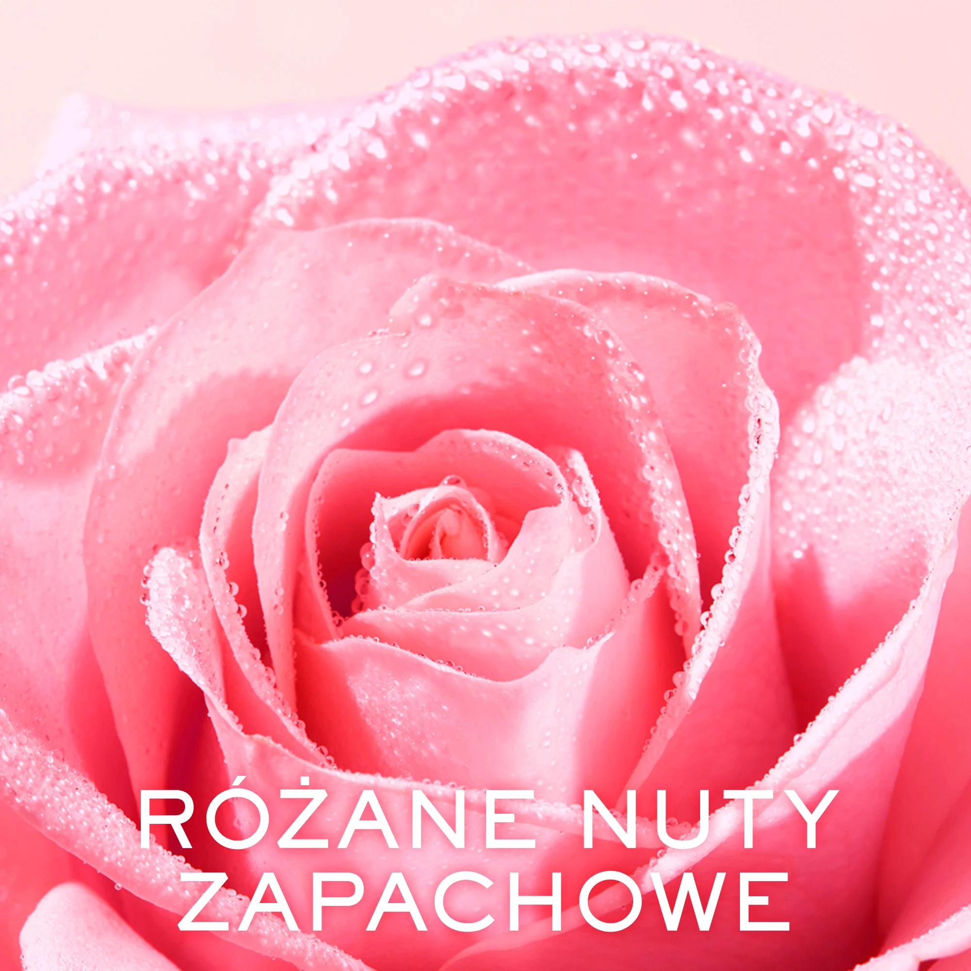 Nuxe Very Rose kremowe mleczko do demakijażu, 200 ml
